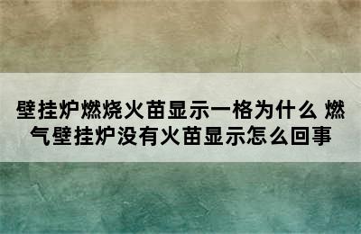 壁挂炉燃烧火苗显示一格为什么 燃气壁挂炉没有火苗显示怎么回事